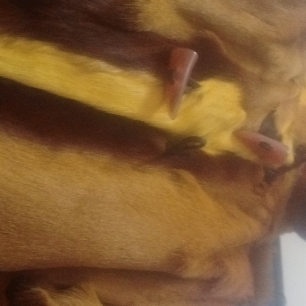 A Beau gosse0 yellow brown leather skin - Picture 3 of 8